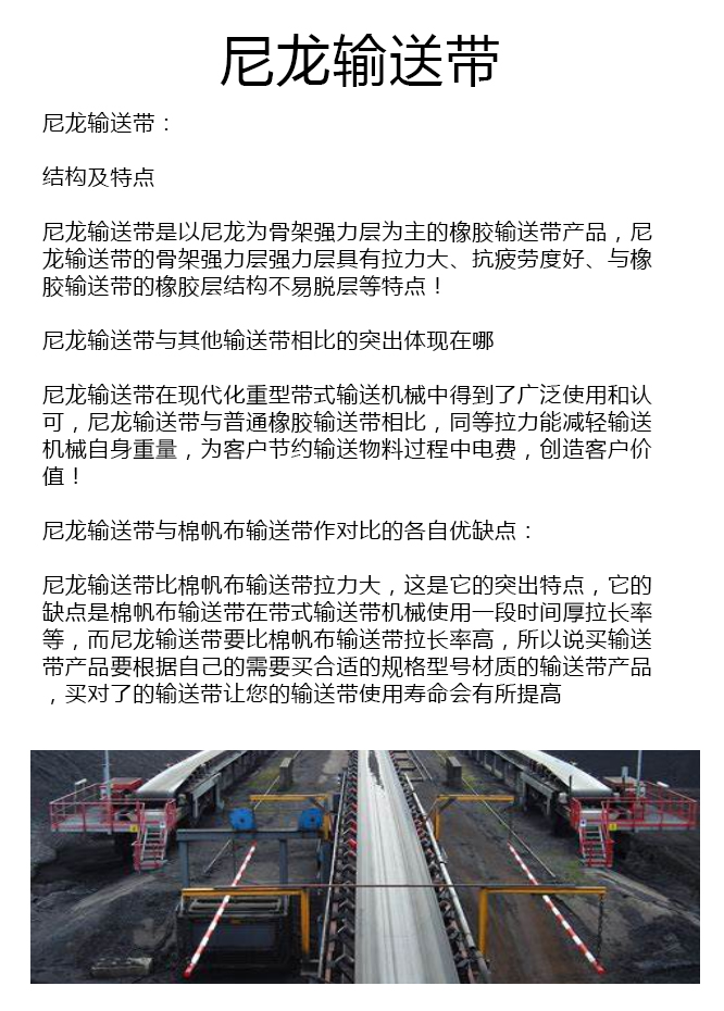 耐油尼龙皮带生产厂家 耐油尼龙皮带生产厂家